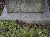 image of grave number 950050